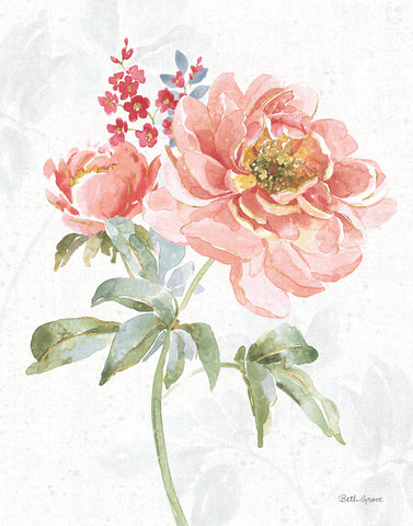 Floral Focus VI - Wall Art - By Beth Grove- Gallery Art Company