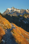 Mount Shuksan North Cascades - Wall Art - By Alan Majchrowicz- Gallery Art Company