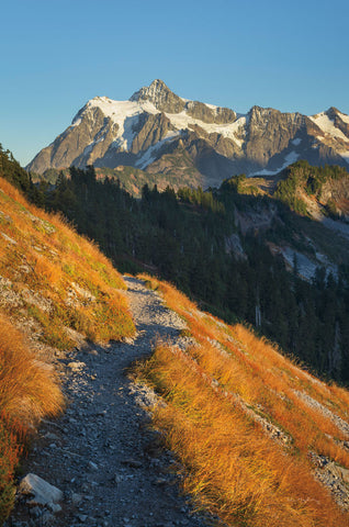 Mount Shuksan North Cascades - Wall Art - By Alan Majchrowicz- Gallery Art Company