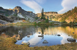 Heather Meadows in Autumn - Wall Art - By Alan Majchrowicz- Gallery Art Company