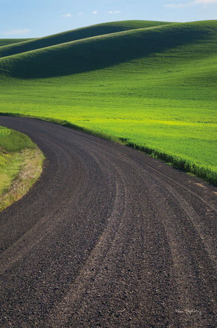 Going Through Palouse Wheat Fields - Wall Art - By Alan Majchrowicz- Gallery Art Company