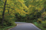 Smugglers Notch Road - Wall Art - By Alan Majchrowicz- Gallery Art Company
