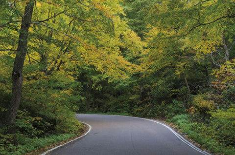Smugglers Notch Road - Wall Art - By Alan Majchrowicz- Gallery Art Company