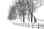 Winter Wonderland - Wall Art - By Aledanda- Gallery Art Company