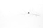 Nice and Cozy - Wall Art - By Aledanda- Gallery Art Company
