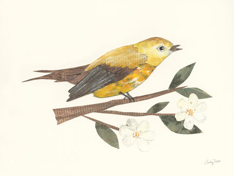 Birds and Blossoms I - Wall Art - By Courtney Prahl- Gallery Art Company