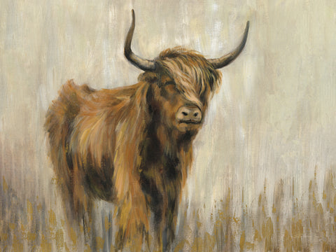 Highland Mountain Cow - Wall Art - By Silvia Vassileva- Gallery Art Company