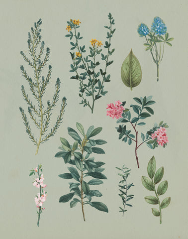 Victorian Garden VI - Wall Art - By Wild Apple Portfolio- Gallery Art Company