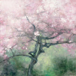 Blooming Apple Tree - Wall Art - By Julia Purinton- Gallery Art Company