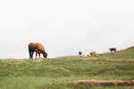 Lake District II - Wall Art - By Laura Marshall- Gallery Art Company
