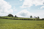 Lake District IV - Wall Art - By Laura Marshall- Gallery Art Company