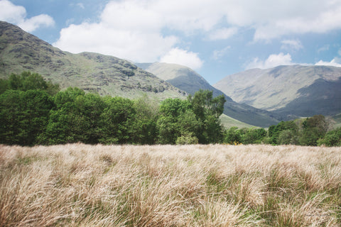 Scottish Highlands III - Wall Art - By Laura Marshall- Gallery Art Company