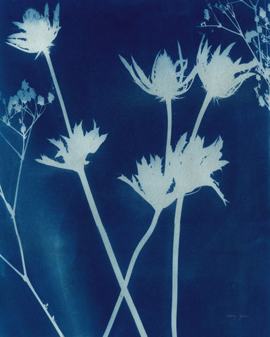 Enchanted Cyanotype I - Wall Art - By Nancy Green- Gallery Art Company