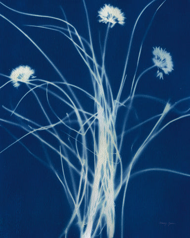 Enchanted Cyanotype II - Wall Art - By Nancy Green- Gallery Art Company