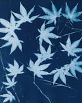 Enchanted Cyanotype V - Wall Art - By Nancy Green- Gallery Art Company