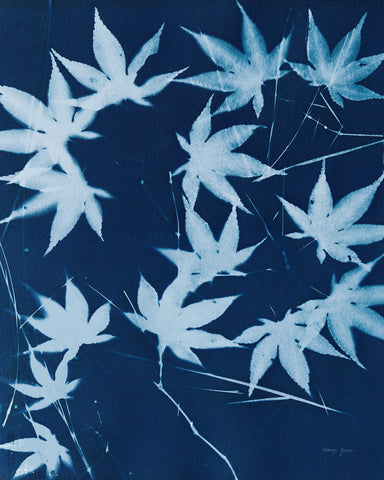 Enchanted Cyanotype V - Wall Art - By Nancy Green- Gallery Art Company