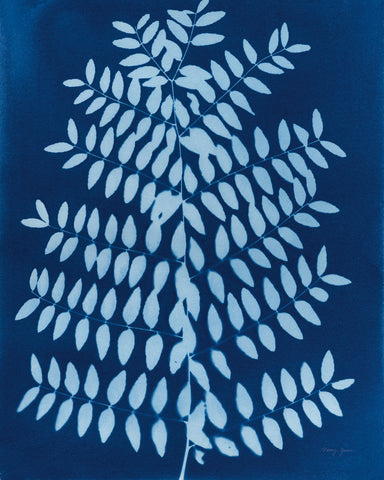 Enchanted Cyanotype VIII - Wall Art - By Nancy Green- Gallery Art Company