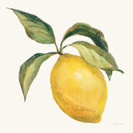 Le Citron on Cream - Wall Art - By Silvia Vassileva- Gallery Art Company