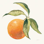 Le Orange on Cream - Wall Art - By Silvia Vassileva- Gallery Art Company