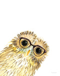 Owl in Glasses - Wall Art - By Mercedes Lopez Charro- Gallery Art Company