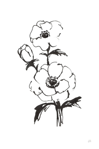 Line Anemone II - Wall Art - By Chris Paschke- Gallery Art Company
