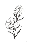 Line Carnation III - Wall Art - By Chris Paschke- Gallery Art Company