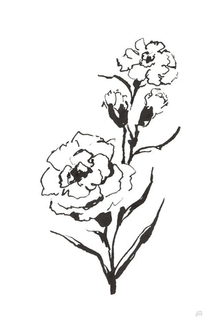 Line Carnation III - Wall Art - By Chris Paschke- Gallery Art Company
