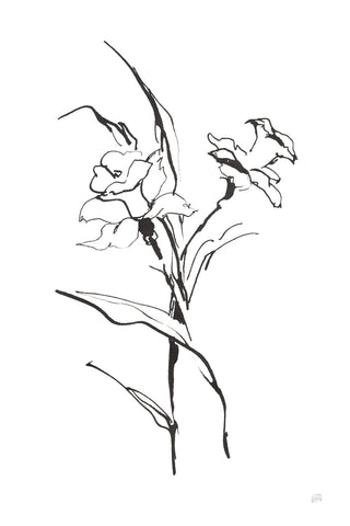 Line Daffodil - Wall Art - By Chris Paschke- Gallery Art Company