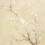 White Cherry Blossoms I Linen Crop - Wall Art - By Danhui Nai- Gallery Art Company