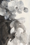 Orchid Splendor II - Wall Art - By Albena Hristova- Gallery Art Company