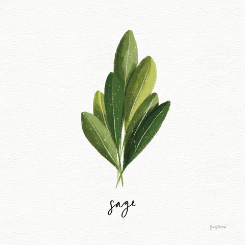 Herbs II White - Wall Art - By Becky Thorns- Gallery Art Company