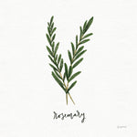 Herbs III White - Wall Art - By Becky Thorns- Gallery Art Company