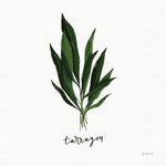 Herbs V White - Wall Art - By Becky Thorns- Gallery Art Company