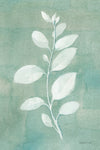 Sage Leaves II - Wall Art - By Danhui Nai- Gallery Art Company