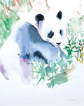 Panda - Wall Art - By Aimee Del Valle- Gallery Art Company
