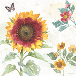 Sunflower Splendor VII - Wall Art - By Beth Grove- Gallery Art Company
