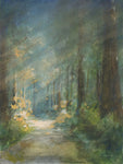 Sun Soaked Redwoods - Wall Art - By Danhui Nai- Gallery Art Company