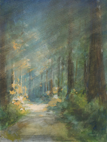 Sun Soaked Redwoods - Wall Art - By Danhui Nai- Gallery Art Company