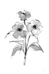 Wash Poppy II - Wall Art - By Chris Paschke- Gallery Art Company