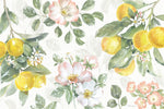 Citrus Charm IV - Wall Art - By Beth Grove- Gallery Art Company