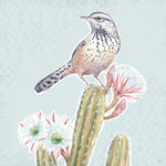 Desert Beauties XIII Aqua - Wall Art - By Daphne Brissonnet- Gallery Art Company
