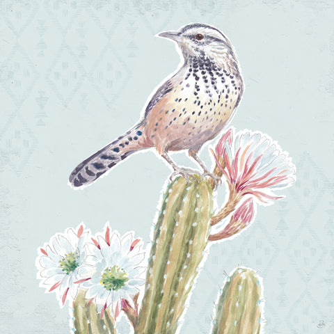 Desert Beauties XIII Aqua - Wall Art - By Daphne Brissonnet- Gallery Art Company