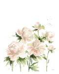Peonies I - Wall Art - By Katrina Pete- Gallery Art Company
