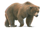 Northern Wild I - Wall Art - By James Wiens- Gallery Art Company