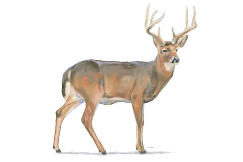 Northern Wild V - Wall Art - By James Wiens- Gallery Art Company