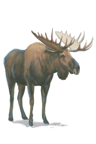 Northern Wild VI - Wall Art - By James Wiens- Gallery Art Company