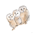 Barn Owl III - Wall Art - By Chris Paschke- Gallery Art Company
