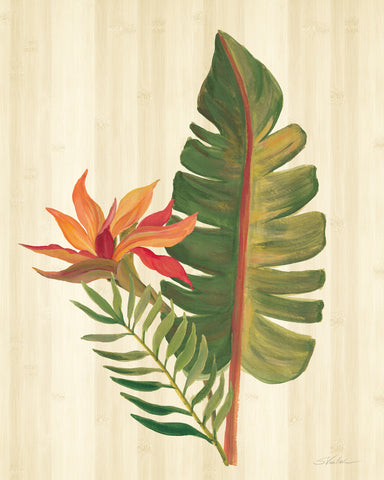 Tropical Garden VI - Wall Art - By Silvia Vassileva- Gallery Art Company