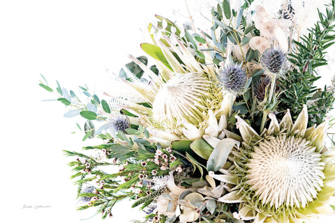 Protea Bouquet I - Wall Art - By Elise Catterall- Gallery Art Company