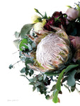 Protea Bouquet II - Wall Art - By Elise Catterall- Gallery Art Company